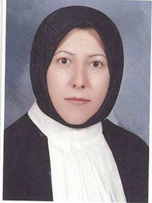 وکیل میترا عراقی 
